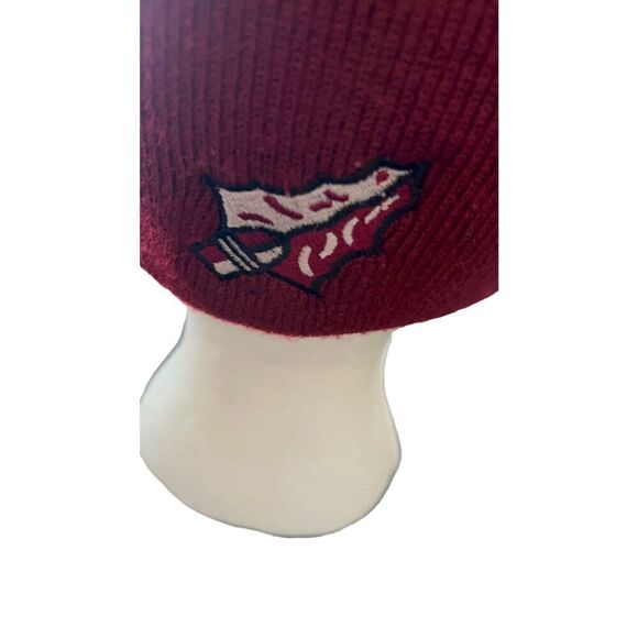 Florida State University FSU  Logo embroidered beanie hat - Picture 11 of 14